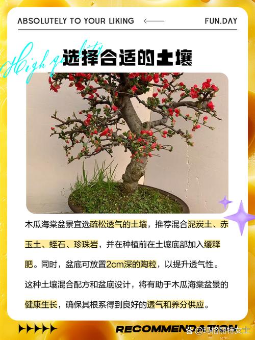 木瓜海棠怎么养(木瓜海棠花怎么养)-第2张图片-花花知道网 木瓜海棠怎么养(木瓜海棠花怎么养)-第2张图片-花花知道网