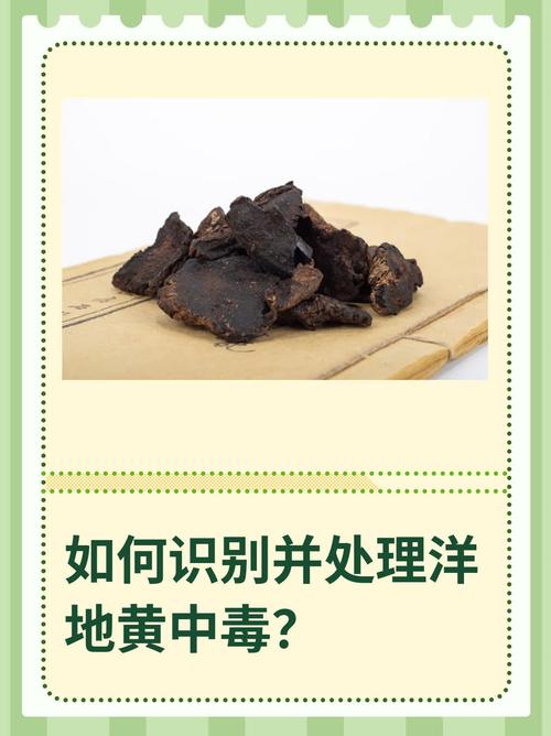 洋地黄中毒如何处理(洋地黄中毒处理措施简答题)-第4张图片-花花知道网 洋地黄中毒如何处理(洋地黄中毒处理措施简答题)-第4张图片-花花知道网