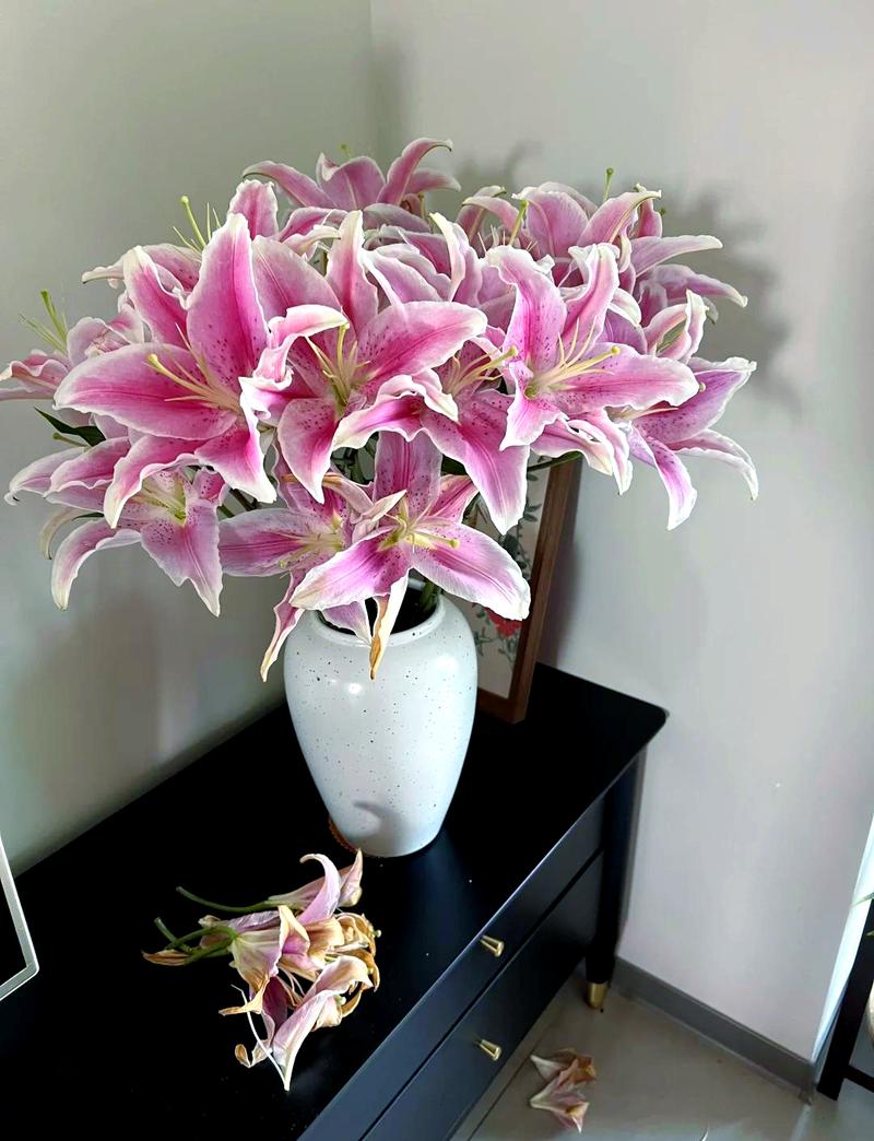 百合花可以打顶吗(百合花可以打顶吗怎么养)-第3张图片-花花知道网 百合花可以打顶吗(百合花可以打顶吗怎么养)-第3张图片-花花知道网