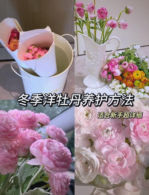 如何使牡丹在冬季开花(牡丹花冬天怎么种植比较好)-第2张图片-花花知道网 如何使牡丹在冬季开花(牡丹花冬天怎么种植比较好)-第2张图片-花花知道网