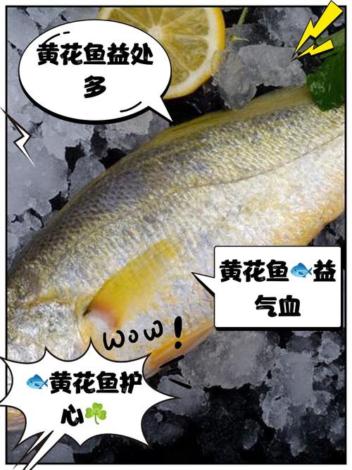 给花喝点这个水(给花喝点这个水英语)-第1张图片-花花知道网 给花喝点这个水(给花喝点这个水英语)-第1张图片-花花知道网