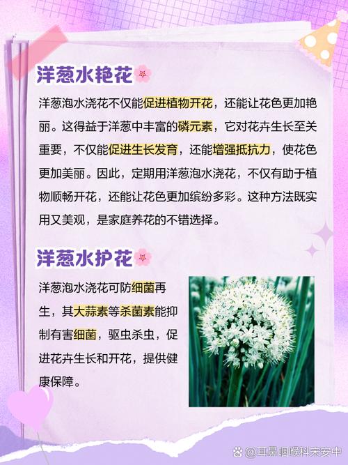 给花喝点这个水(给花喝点这个水英语)-第7张图片-花花知道网 给花喝点这个水(给花喝点这个水英语)-第7张图片-花花知道网