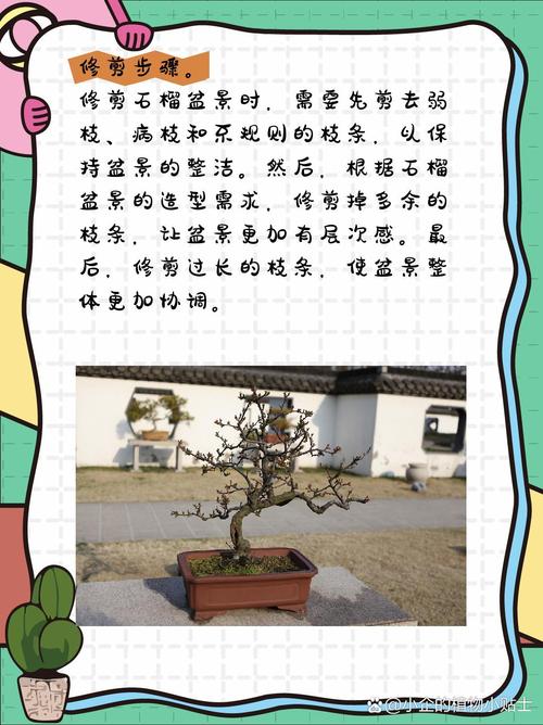 “石榴”树枝剪1刀(石榴树剪的枝子载上就能活吗)-第2张图片-花花知道网 “石榴”树枝剪1刀(石榴树剪的枝子载上就能活吗)-第2张图片-花花知道网