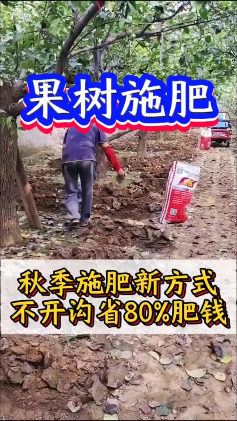 桃树秋天怎么养(桃树秋天怎么养护和管理)-第2张图片-花花知道网 桃树秋天怎么养(桃树秋天怎么养护和管理)-第2张图片-花花知道网