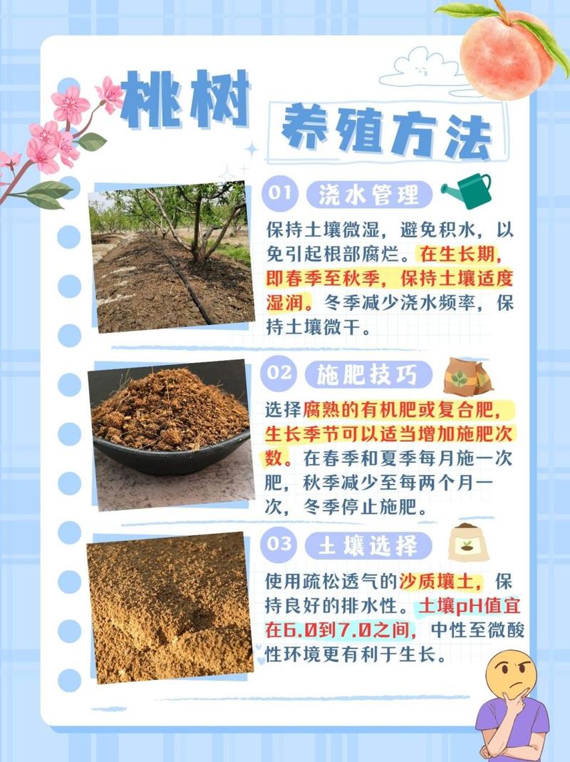 桃树秋天怎么养(桃树秋天怎么养护和管理)-第5张图片-花花知道网 桃树秋天怎么养(桃树秋天怎么养护和管理)-第5张图片-花花知道网