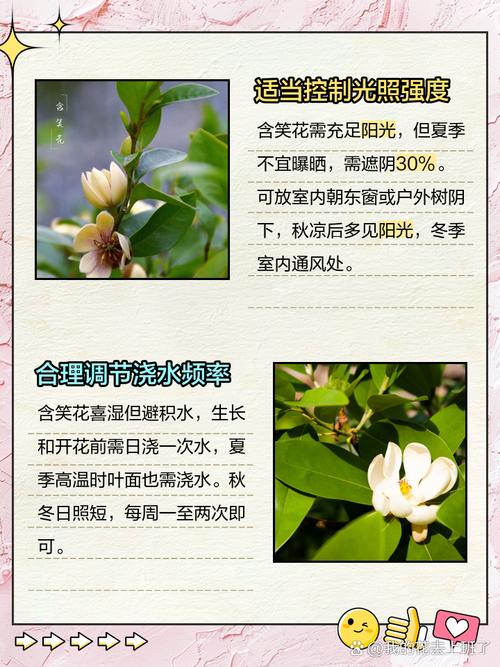 养了这么多花才知道（养了好多花发表说说）-第4张图片-花花知道网