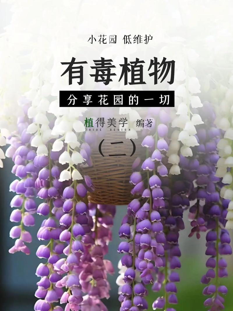 养了这么多花才知道（养了好多花发表说说）-第5张图片-花花知道网