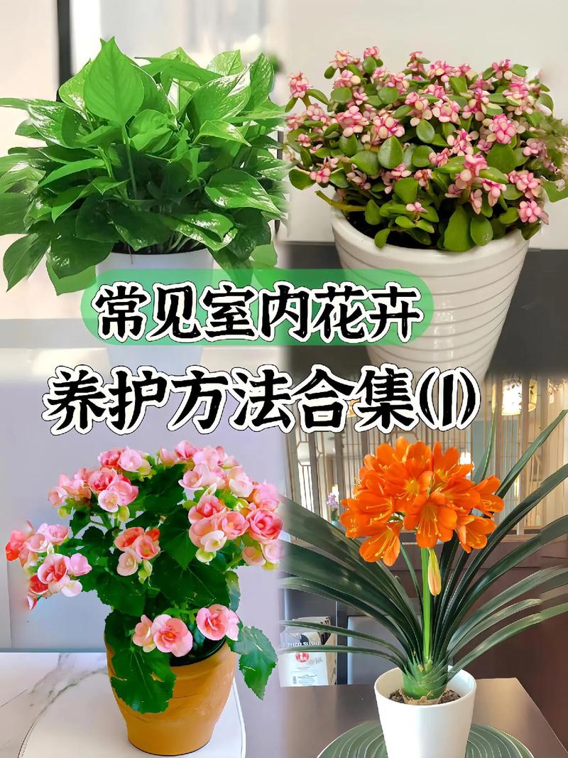 绿萝怎么养长得好(绿萝怎么养长得好长得快一点)-第5张图片-花花知道网 绿萝怎么养长得好(绿萝怎么养长得好长得快一点)-第5张图片-花花知道网