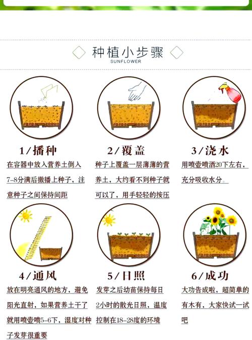 风信子怎么养(开花过后的风信子怎么养)-第1张图片-花花知道网 风信子怎么养(开花过后的风信子怎么养)-第1张图片-花花知道网