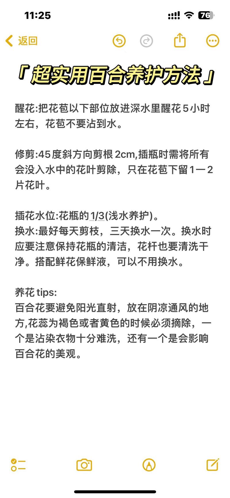百合花怎么养才不死(百合花怎么才能养活)-第3张图片-花花知道网 百合花怎么养才不死(百合花怎么才能养活)-第3张图片-花花知道网