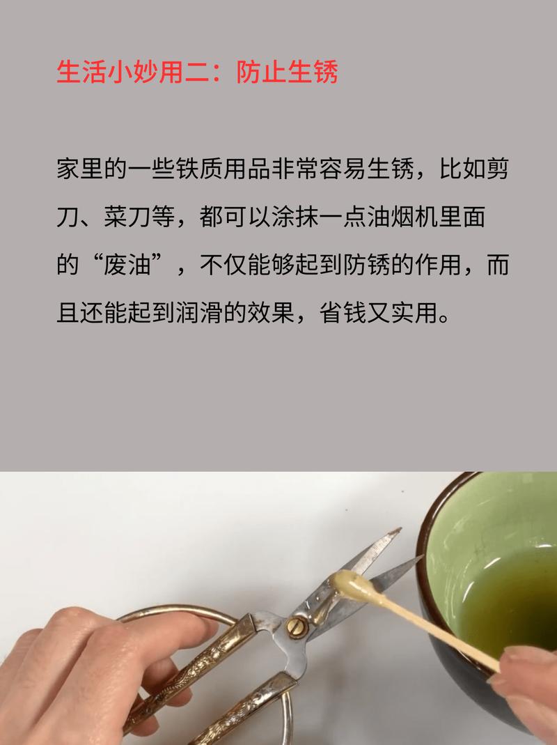 油烟机的“废油”可别扔(吸油烟机的废油能干嘛)-第1张图片-花花知道网 油烟机的“废油”可别扔(吸油烟机的废油能干嘛)-第1张图片-花花知道网