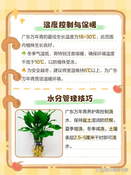 广东万年青种子怎么种(广东万年青怎么养才能粗壮)-第6张图片-花花知道网 广东万年青种子怎么种(广东万年青怎么养才能粗壮)-第6张图片-花花知道网