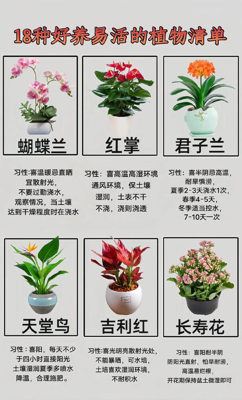 初春养花牢记这5点(初春的花有哪些,有什么寓意)-第1张图片-花花知道网 初春养花牢记这5点(初春的花有哪些,有什么寓意)-第1张图片-花花知道网