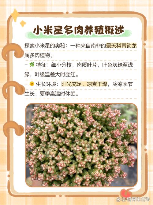 小米星冬季怎么养(小米星冬天休眠吗)-第3张图片-花花知道网 小米星冬季怎么养(小米星冬天休眠吗)-第3张图片-花花知道网