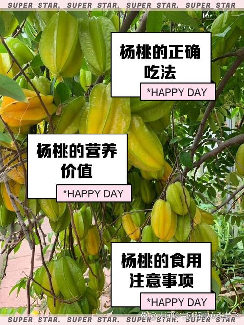 杨桃树可以盆栽吗(杨桃树可以种在院子里吗)-第4张图片-花花知道网 杨桃树可以盆栽吗(杨桃树可以种在院子里吗)-第4张图片-花花知道网