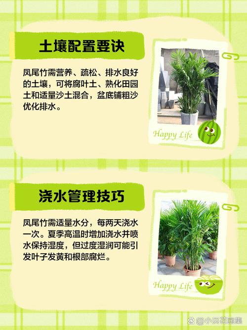 凤尾竹怎么养(凤尾竹怎么养容易活)-第5张图片-花花知道网 凤尾竹怎么养(凤尾竹怎么养容易活)-第5张图片-花花知道网