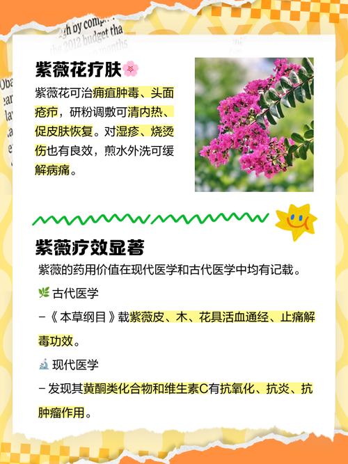 南紫薇的繁殖方法(紫薇的繁殖方法视频)-第1张图片-花花知道网 南紫薇的繁殖方法(紫薇的繁殖方法视频)-第1张图片-花花知道网