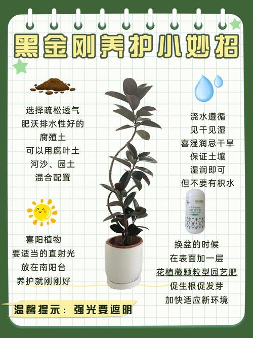 你家的花死透了(你家的花死透了图片)-第6张图片-花花知道网 你家的花死透了(你家的花死透了图片)-第6张图片-花花知道网