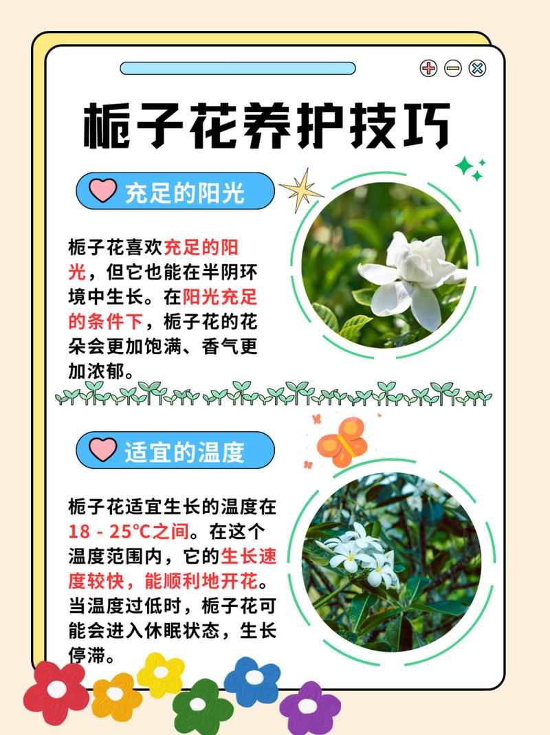 栀子花什么时候开(栀子花什么时候开花哪个季节)-第7张图片-花花知道网 栀子花什么时候开(栀子花什么时候开花哪个季节)-第7张图片-花花知道网