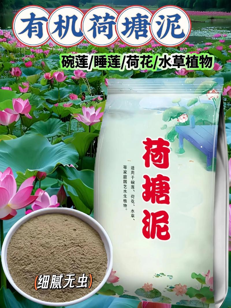 荷花不用土可以吗(荷花不用土放在水里能活吗)-第2张图片-花花知道网 荷花不用土可以吗(荷花不用土放在水里能活吗)-第2张图片-花花知道网