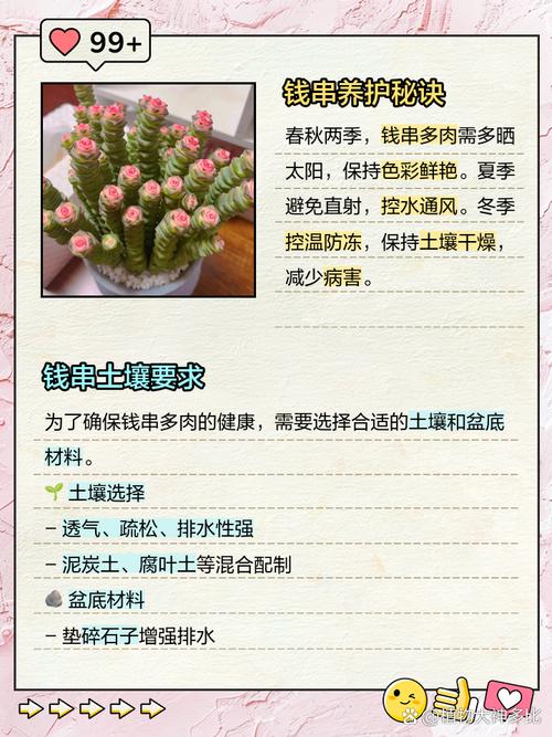 钱串怎么施肥(钱串子施肥)-第4张图片-花花知道网 钱串怎么施肥(钱串子施肥)-第4张图片-花花知道网