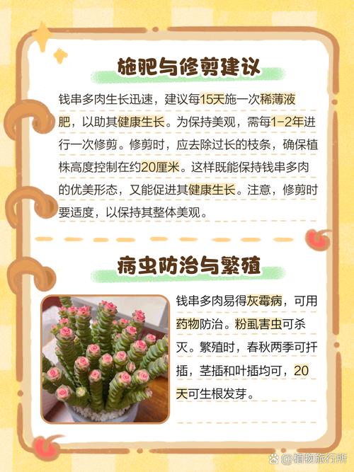 钱串怎么施肥(钱串子施肥)-第6张图片-花花知道网 钱串怎么施肥(钱串子施肥)-第6张图片-花花知道网