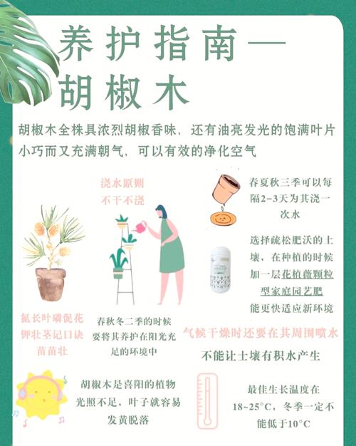胡椒木怎么养(胡椒木适合家里养吗)-第4张图片-花花知道网 胡椒木怎么养(胡椒木适合家里养吗)-第4张图片-花花知道网