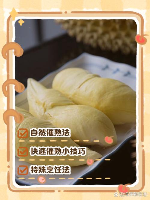 榴莲怎么保存(榴莲怎么保存才新鲜,是冷冻还是冷藏)-第1张图片-花花知道网 榴莲怎么保存(榴莲怎么保存才新鲜,是冷冻还是冷藏)-第1张图片-花花知道网