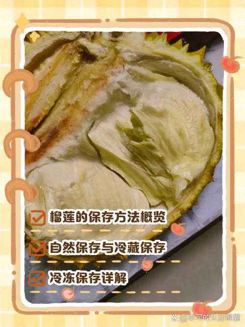 榴莲怎么保存(榴莲怎么保存才新鲜,是冷冻还是冷藏)-第5张图片-花花知道网 榴莲怎么保存(榴莲怎么保存才新鲜,是冷冻还是冷藏)-第5张图片-花花知道网