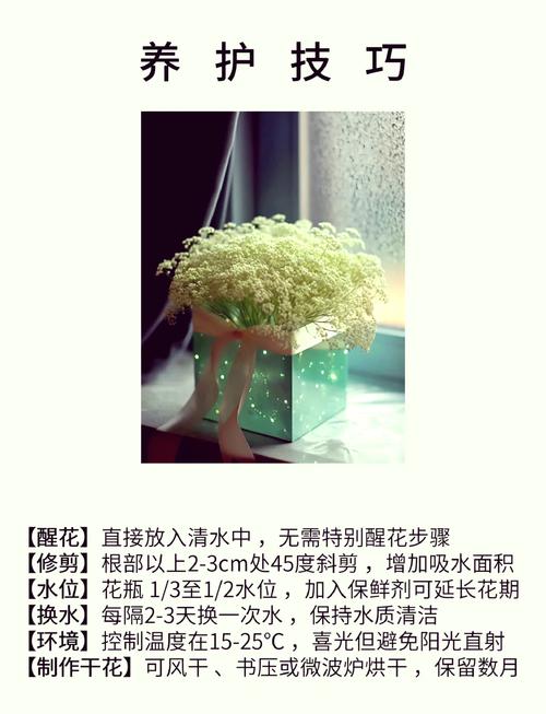 满天星放水里还是干放(满天星用不用放在水里)-第5张图片-花花知道网 满天星放水里还是干放(满天星用不用放在水里)-第5张图片-花花知道网