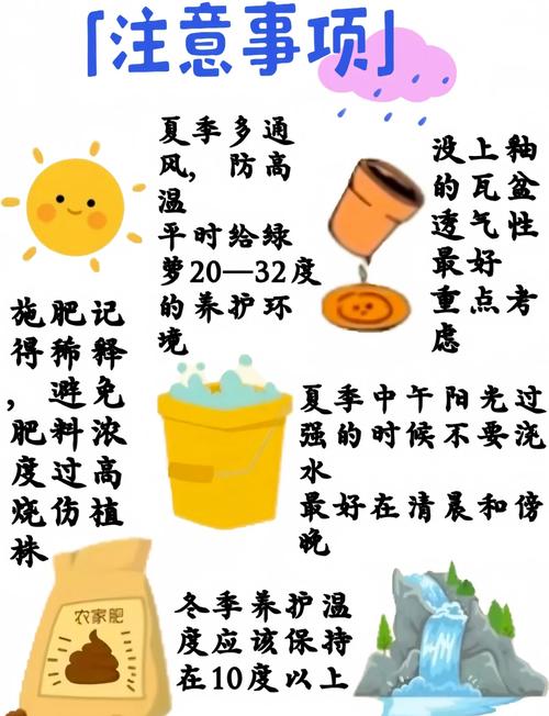 绿萝冬季怎么养(绿萝冬季怎么养护和浇水)-第6张图片-花花知道网 绿萝冬季怎么养(绿萝冬季怎么养护和浇水)-第6张图片-花花知道网