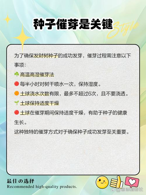 发财树种子怎样播种(发财树种子怎么播种)-第1张图片-花花知道网 发财树种子怎样播种(发财树种子怎么播种)-第1张图片-花花知道网