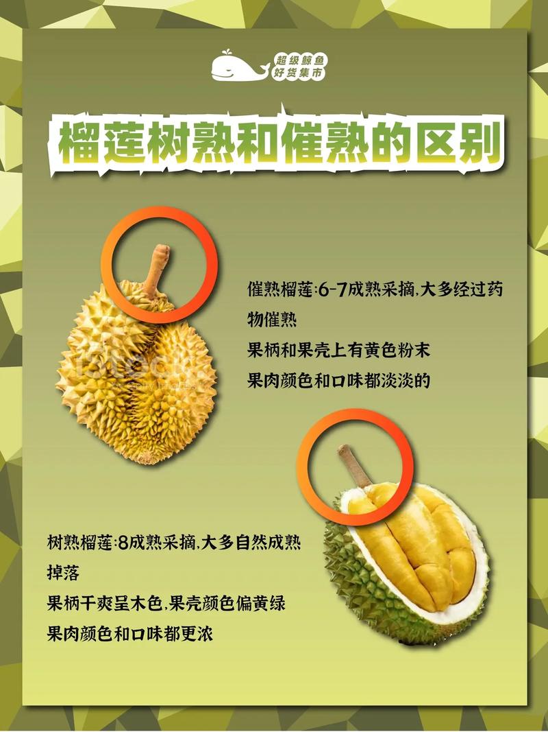 榴莲怎么催熟(生包榴莲怎么催熟)-第1张图片-花花知道网 榴莲怎么催熟(生包榴莲怎么催熟)-第1张图片-花花知道网