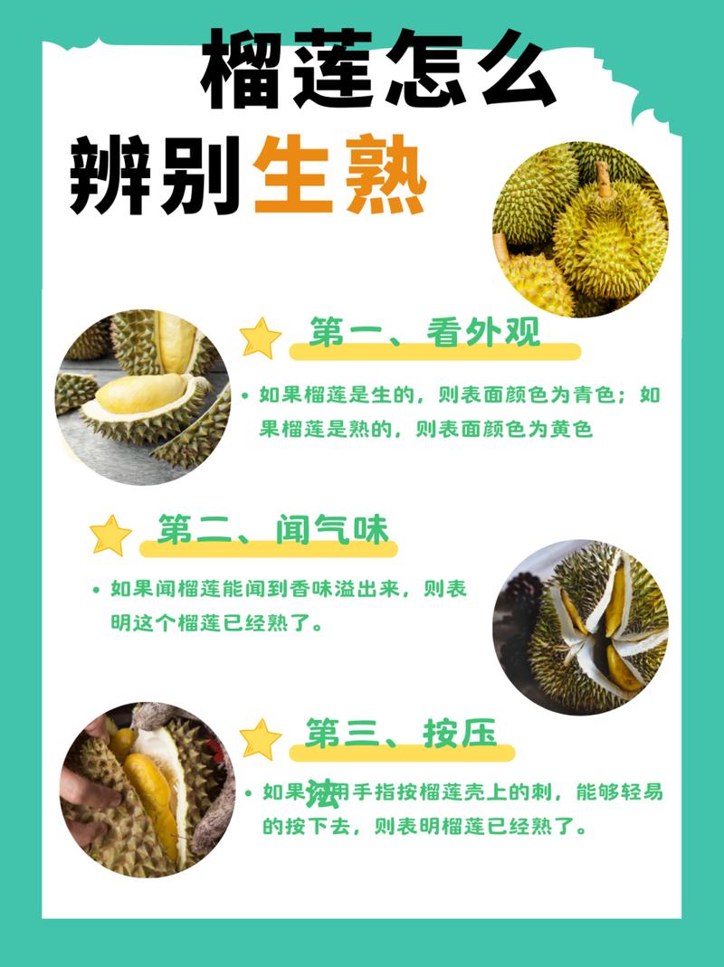 榴莲怎么催熟(生包榴莲怎么催熟)-第2张图片-花花知道网 榴莲怎么催熟(生包榴莲怎么催熟)-第2张图片-花花知道网
