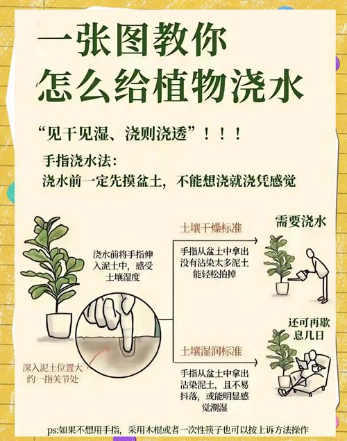 淘米水兑点料（家有淘米水别浪费,往里加“2料”变成优质养花肥）-第3张图片-花花知道网