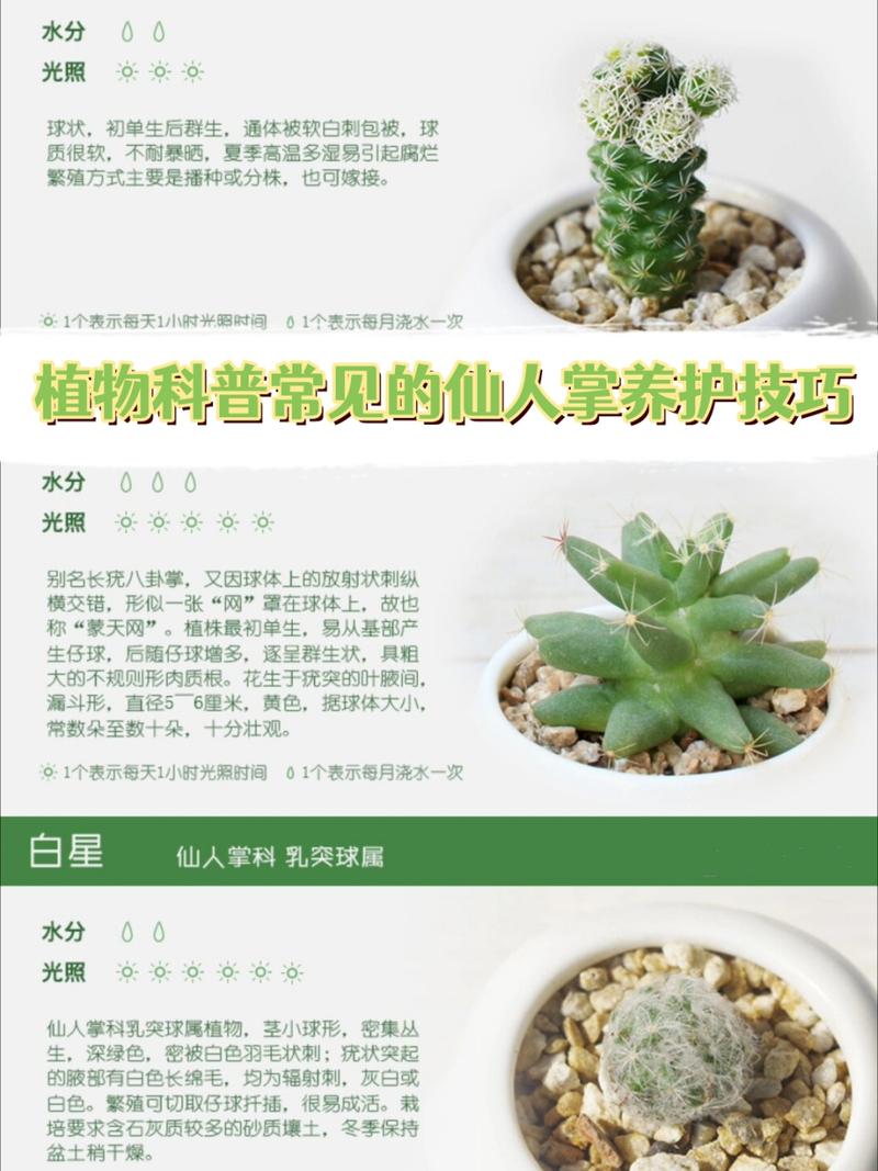 八荒殿怎么养(八荒殿星子)-第5张图片-花花知道网 八荒殿怎么养(八荒殿星子)-第5张图片-花花知道网