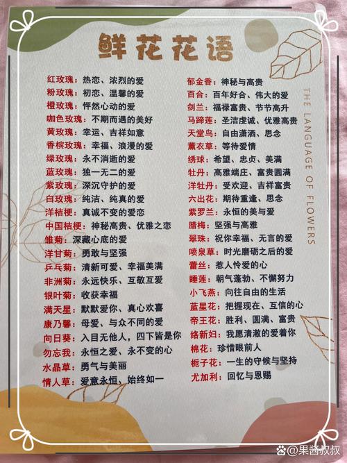 如何使白晶菊在圣诞开花（白晶菊什么时候开花）-第5张图片-花花知道网