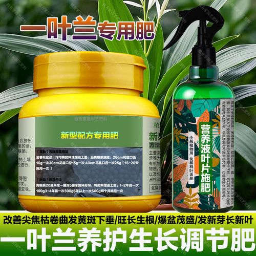 一叶兰施什么肥好(一叶兰施什么肥料)-第2张图片-花花知道网 一叶兰施什么肥好(一叶兰施什么肥料)-第2张图片-花花知道网