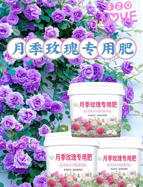 刺蔷薇怎么施肥(刺蔷薇怎么施肥效果好)-第6张图片-花花知道网 刺蔷薇怎么施肥(刺蔷薇怎么施肥效果好)-第6张图片-花花知道网