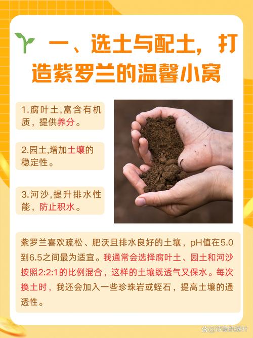 紫罗兰怎么养开花多(紫罗兰怎么养能开花满盆)-第2张图片-花花知道网 紫罗兰怎么养开花多(紫罗兰怎么养能开花满盆)-第2张图片-花花知道网
