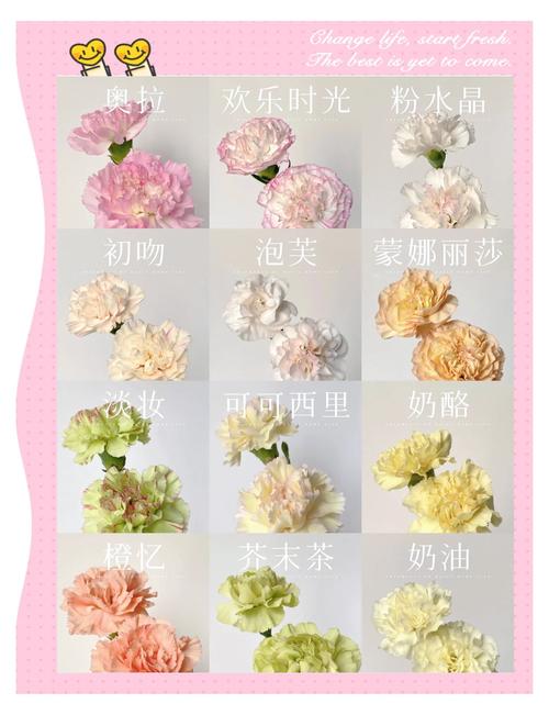 康乃馨怎么修剪(康乃馨怎么修剪视频)-第3张图片-花花知道网 康乃馨怎么修剪(康乃馨怎么修剪视频)-第3张图片-花花知道网