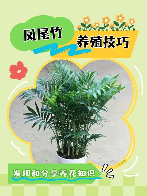 凤尾竹怎么样浇水(凤尾竹怎么样浇水才能活)-第2张图片-花花知道网 凤尾竹怎么样浇水(凤尾竹怎么样浇水才能活)-第2张图片-花花知道网