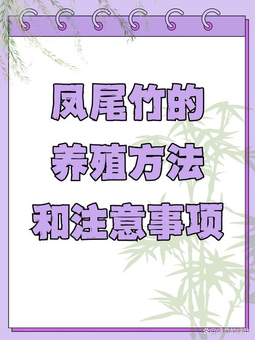 凤尾竹怎么样浇水(凤尾竹怎么样浇水才能活)-第3张图片-花花知道网 凤尾竹怎么样浇水(凤尾竹怎么样浇水才能活)-第3张图片-花花知道网