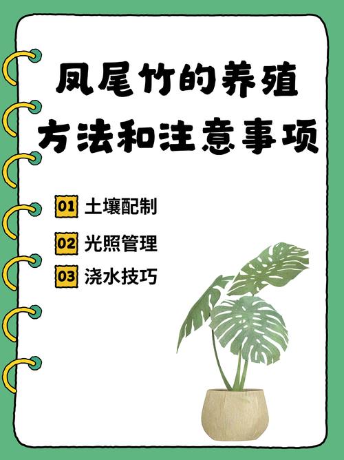 凤尾竹怎么样浇水(凤尾竹怎么样浇水才能活)-第5张图片-花花知道网 凤尾竹怎么样浇水(凤尾竹怎么样浇水才能活)-第5张图片-花花知道网