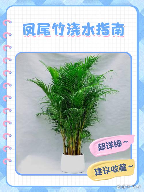 凤尾竹怎么样浇水(凤尾竹怎么样浇水才能活)-第7张图片-花花知道网 凤尾竹怎么样浇水(凤尾竹怎么样浇水才能活)-第7张图片-花花知道网