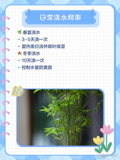 凤尾竹怎么样浇水(凤尾竹怎么样浇水才能活)-第8张图片-花花知道网 凤尾竹怎么样浇水(凤尾竹怎么样浇水才能活)-第8张图片-花花知道网
