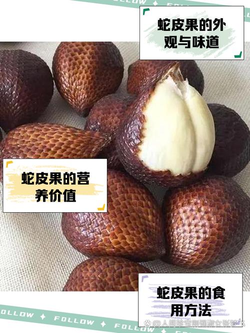 蛇皮果播种繁殖方法(蛇皮果播种繁殖方法有哪些)-第2张图片-花花知道网 蛇皮果播种繁殖方法(蛇皮果播种繁殖方法有哪些)-第2张图片-花花知道网