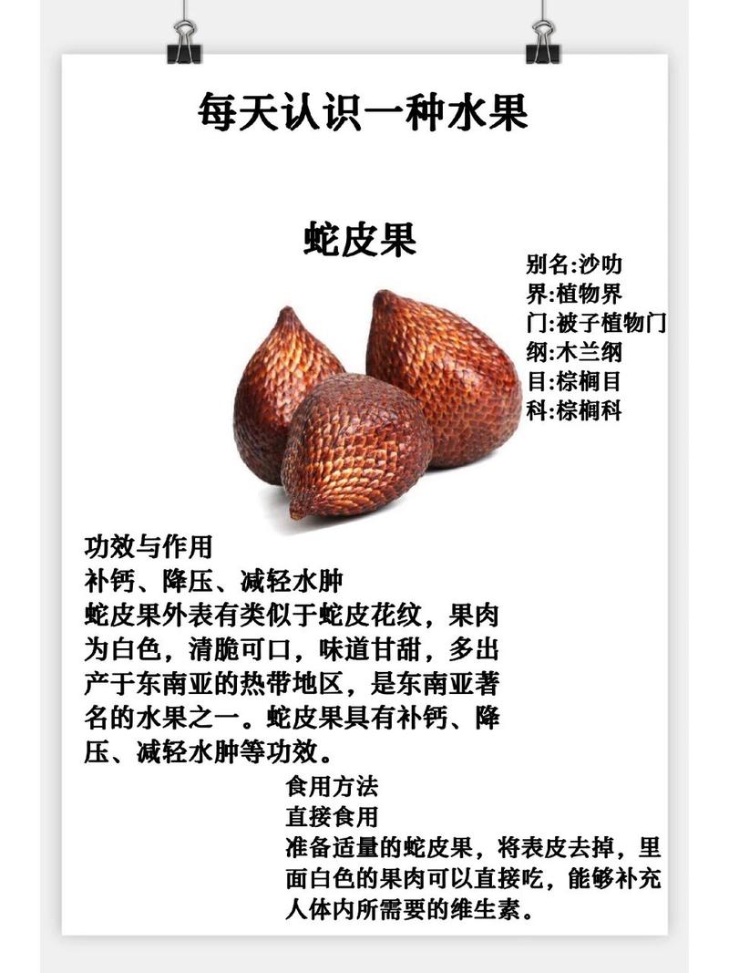 蛇皮果播种繁殖方法(蛇皮果播种繁殖方法有哪些)-第7张图片-花花知道网 蛇皮果播种繁殖方法(蛇皮果播种繁殖方法有哪些)-第7张图片-花花知道网