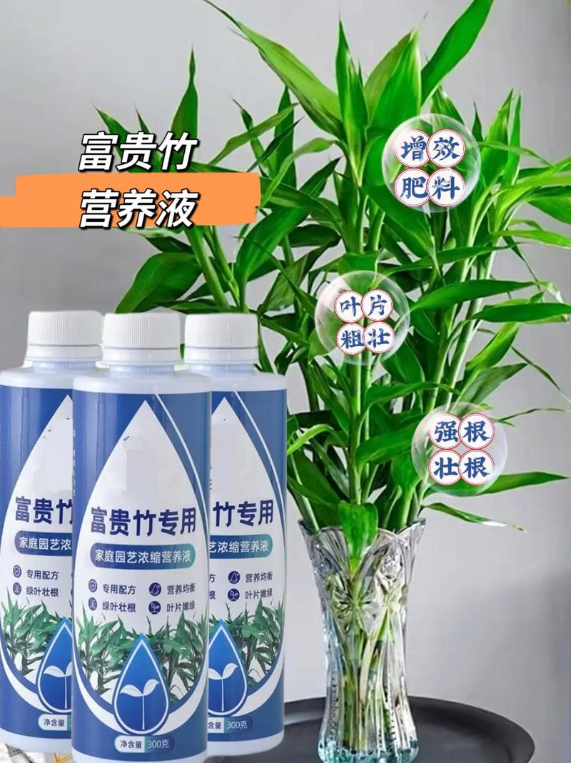 富贵竹施肥用什么肥料(富贵竹需什么肥料)-第2张图片-花花知道网 富贵竹施肥用什么肥料(富贵竹需什么肥料)-第2张图片-花花知道网