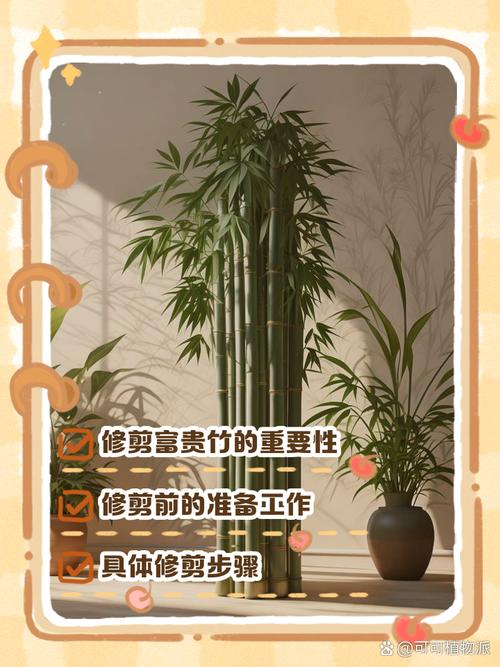 富贵竹怎么修剪（富贵竹怎么修剪造型）-第1张图片-花花知道网